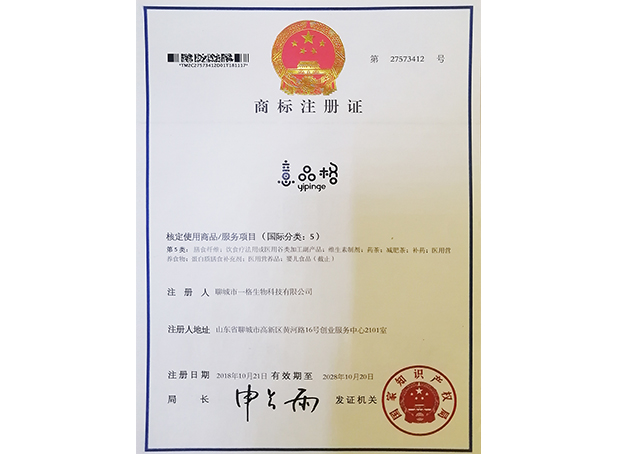 资质荣誉六